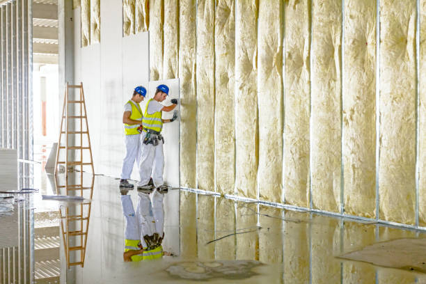 Best Types of Insulation in Old Tappan, NJ